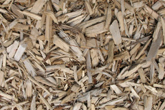 biomass boilers Letterewe